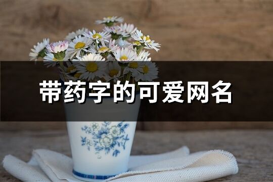 带药字的可爱网名(精选74个)