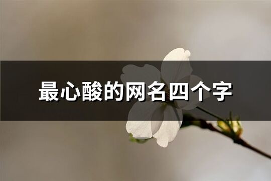 最心酸的网名四个字(176个)