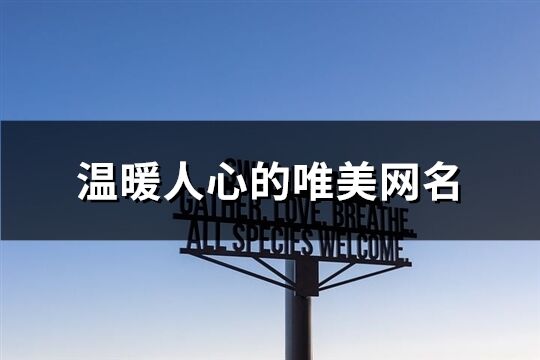 温暖人心的唯美网名(优选194个)