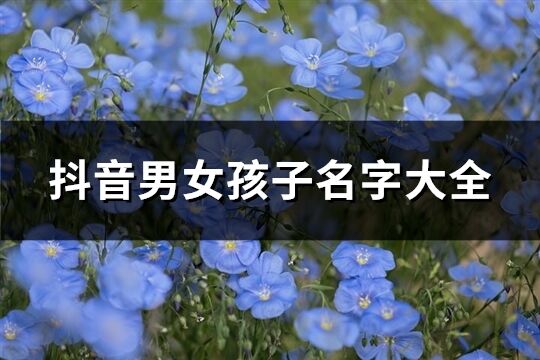 抖音男女孩子名字大全(优选241个)