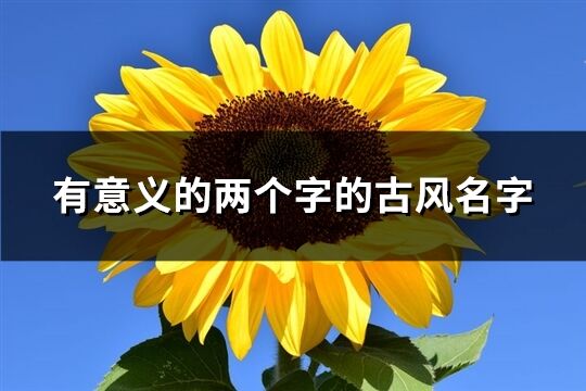 有意义的两个字的古风名字(优选193个)