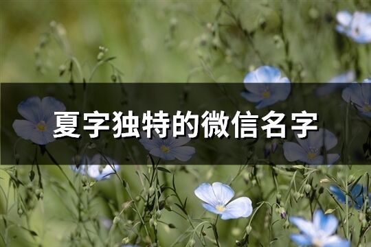 夏字独特的微信名字(优选162个)