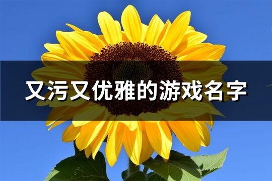 又污又优雅的游戏名字(优选284个)