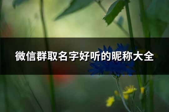 微信群取名字好听的昵称大全(282个)