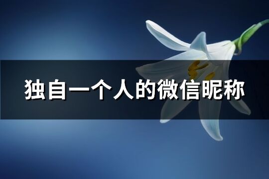 独自一个人的微信昵称(212个)