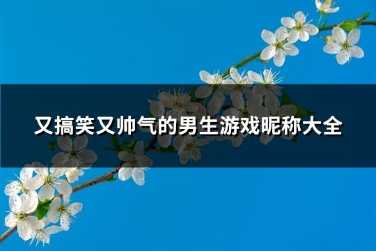 又搞笑又帅气的男生游戏昵称大全(共221个)