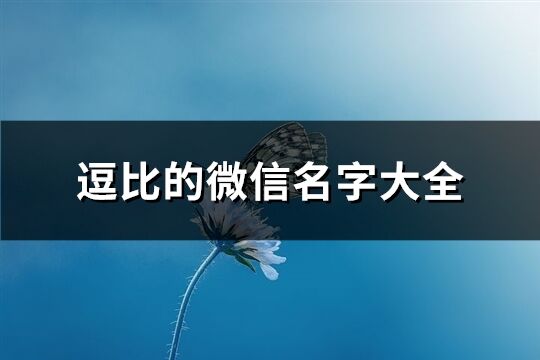 逗比的微信名字大全(共191个)