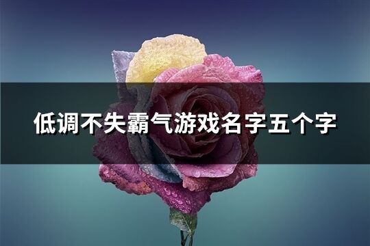 低调不失霸气游戏名字五个字(精选433个)