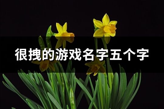 很拽的游戏名字五个字(482个)