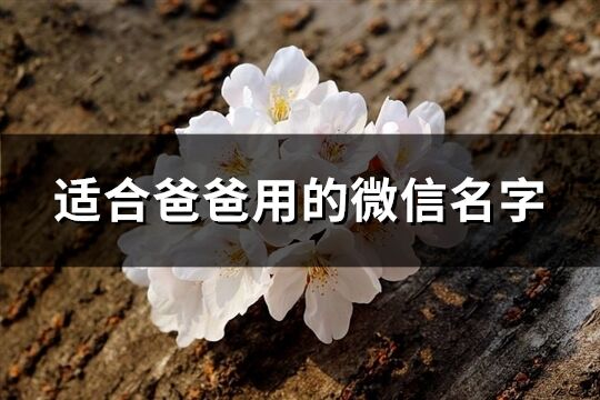 适合爸爸用的微信名字(共569个)