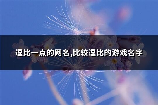 逗比一点的网名,比较逗比的游戏名字(优选383个)