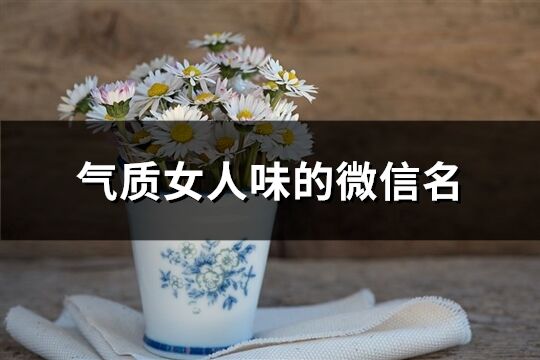 气质女人味的微信名(优选543个)