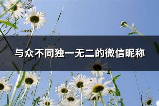 与众不同独一无二的微信昵称(共539个)