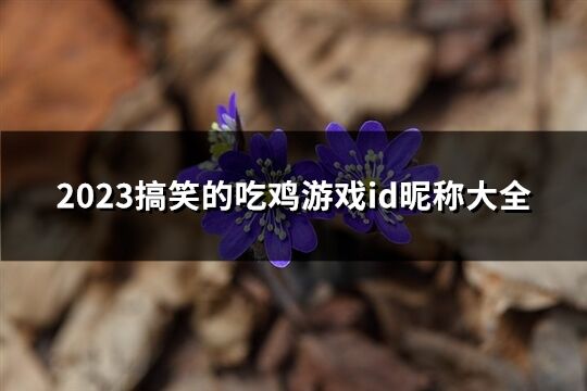 2023搞笑的吃鸡游戏id昵称大全(共155个)