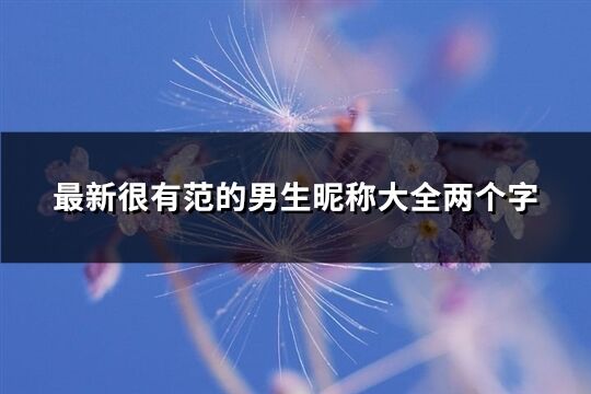 最新很有范的男生昵称大全两个字(1468个)