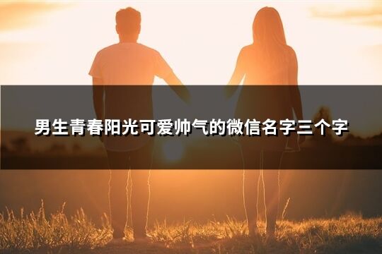 男生青春阳光可爱帅气的微信名字三个字(优选401个)