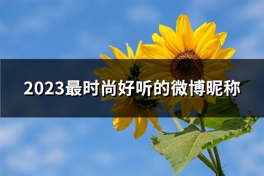 2023最时尚好听的微博昵称(优选180个)