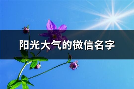 阳光大气的微信名字(共825个)