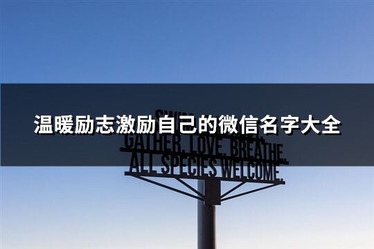 温暖励志激励自己的微信名字大全(优选204个)