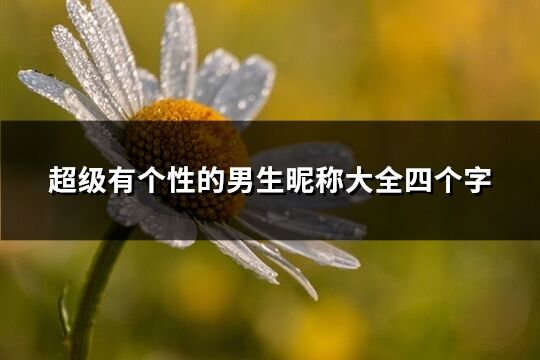 超级有个性的男生昵称大全四个字(共614个)