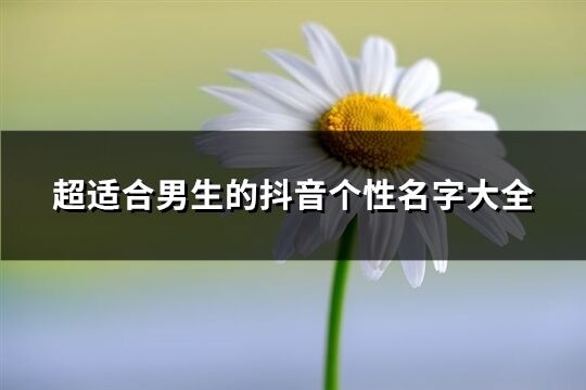 超适合男生的抖音个性名字大全(精选480个)