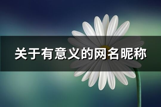 关于有意义的网名昵称(666个)