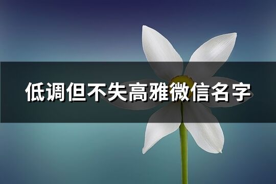 低调但不失高雅微信名字(412个)