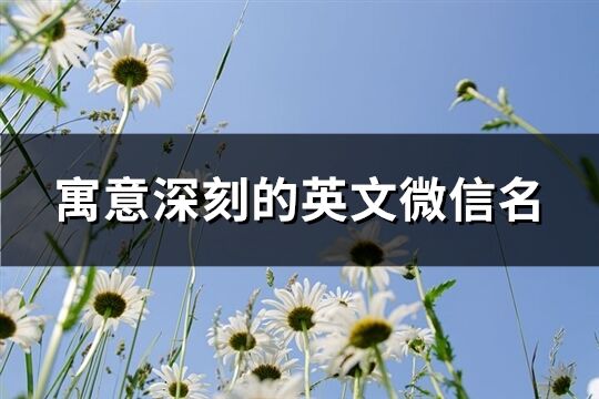 寓意深刻的英文微信名(共240个)