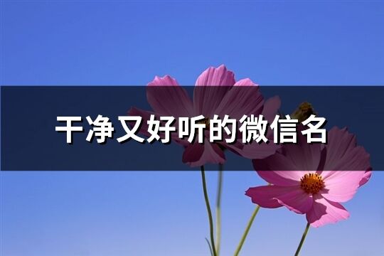 干净又好听的微信名(865个)