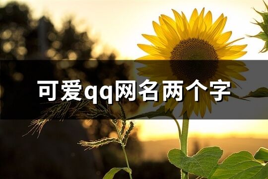 可爱qq网名两个字(959个)