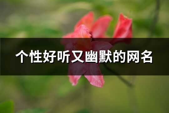 个性好听又幽默的网名(优选563个)