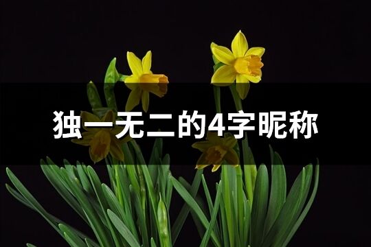 独一无二的4字昵称(优选635个)