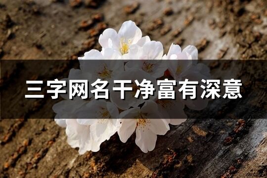 三字网名干净富有深意(共1108个)