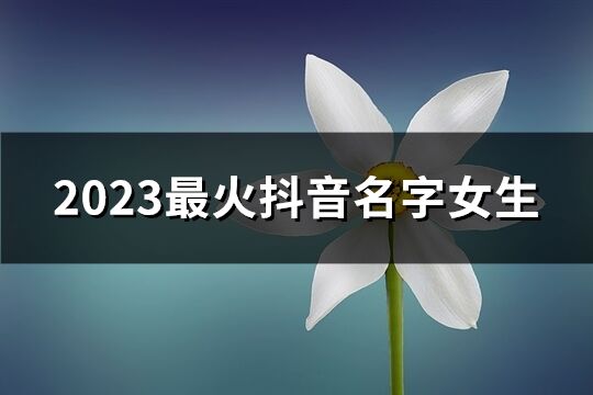 2023最火抖音名字女生(优选378个)