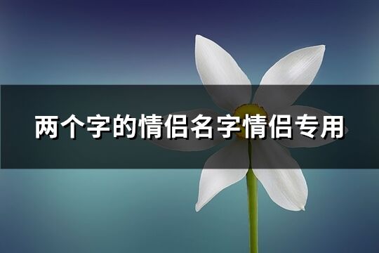 两个字的情侣名字情侣专用(共567个)