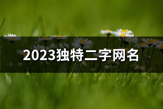 2023独特二字网名(精选1517个)