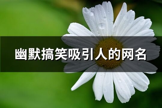 幽默搞笑吸引人的网名(共119个)