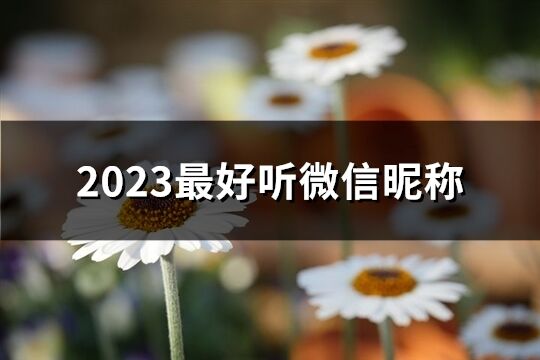 2023最好听微信昵称(优选675个)