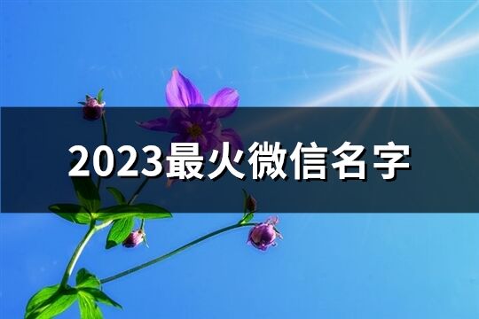 2023最火微信名字(2760个)