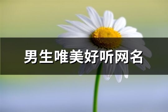 男生唯美好听网名(406个)