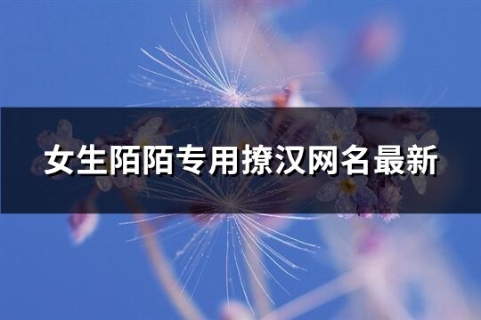 女生陌陌专用撩汉网名最新(258个)