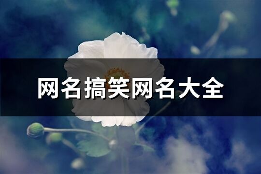 网名搞笑网名大全(共480个)