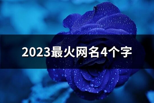 2023最火网名4个字(精选59个)