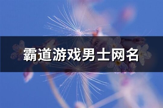 霸道游戏男士网名(优选687个)