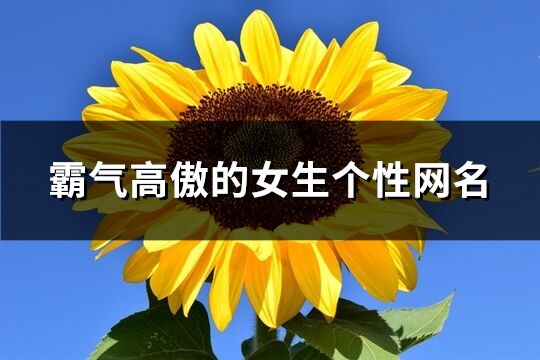 霸气高傲的女生个性网名(优选134个)