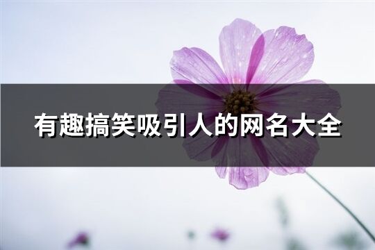 有趣搞笑吸引人的网名大全(共146个)