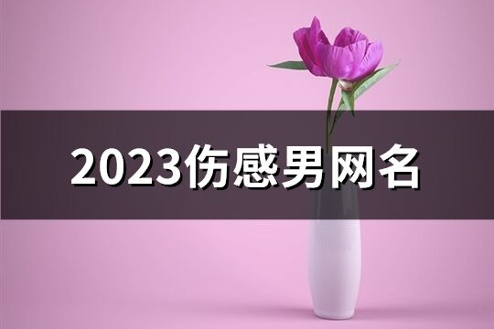 2023伤感男网名(优选367个)