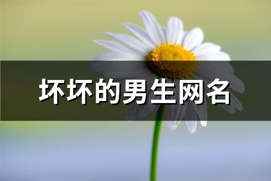 坏坏的男生网名(精选158个)