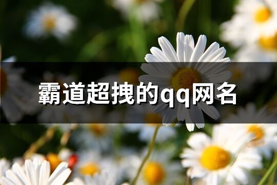 霸道超拽的qq网名(优选206个)