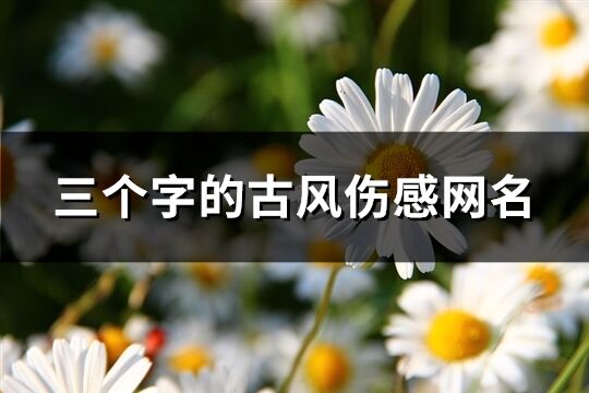 三个字的古风伤感网名(378个)